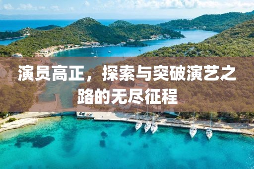 演員高正，探索與突破演藝之路的無盡征程