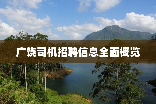 廣饒司機招聘信息全面概覽