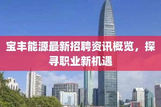 寶豐能源最新招聘資訊概覽，探尋職業(yè)新機遇