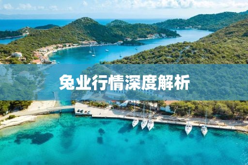 赤橙黃綠 第28頁