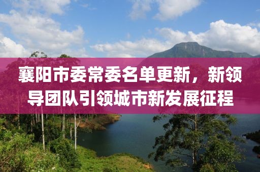 襄陽(yáng)市委常委名單更新，新領(lǐng)導(dǎo)團(tuán)隊(duì)引領(lǐng)城市新發(fā)展征程