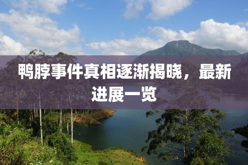 鴨脖事件真相逐漸揭曉，最新進展一覽