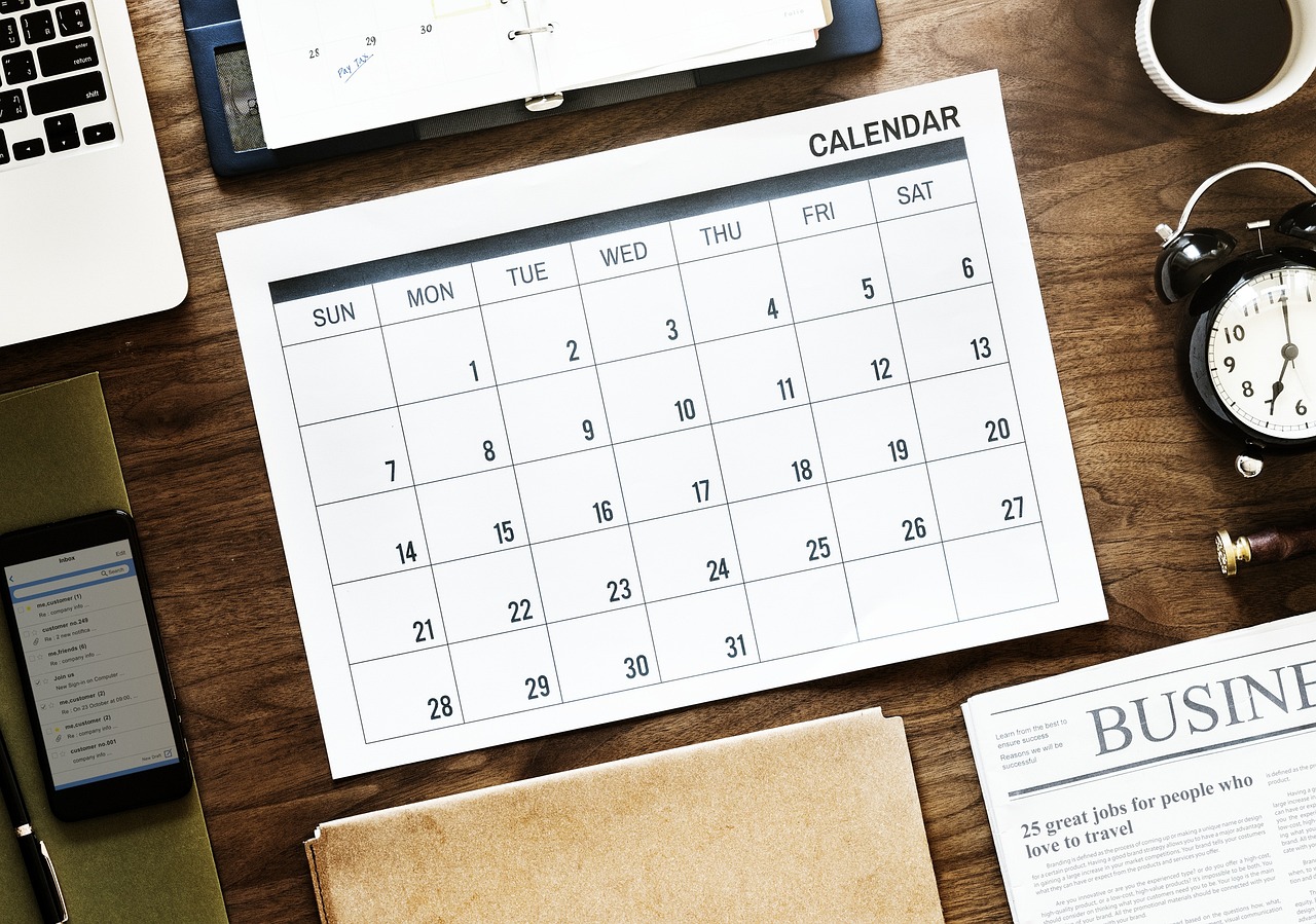 新澳門資料大全正版資料2024年免費下載,家野中特,科學分析解釋說明,疾速版AD357.553