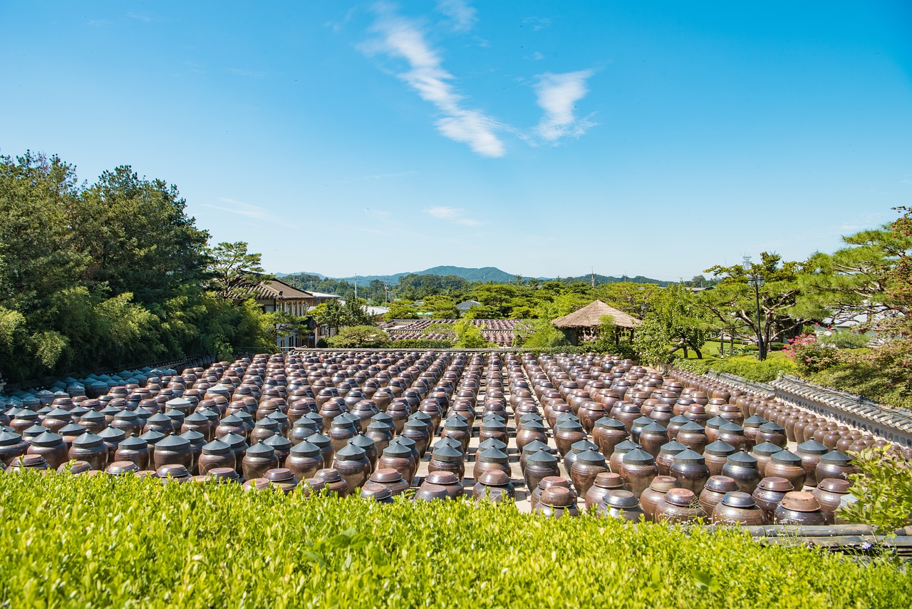 探索智慧農(nóng)業(yè)未來之路，慧耕思新篇新探