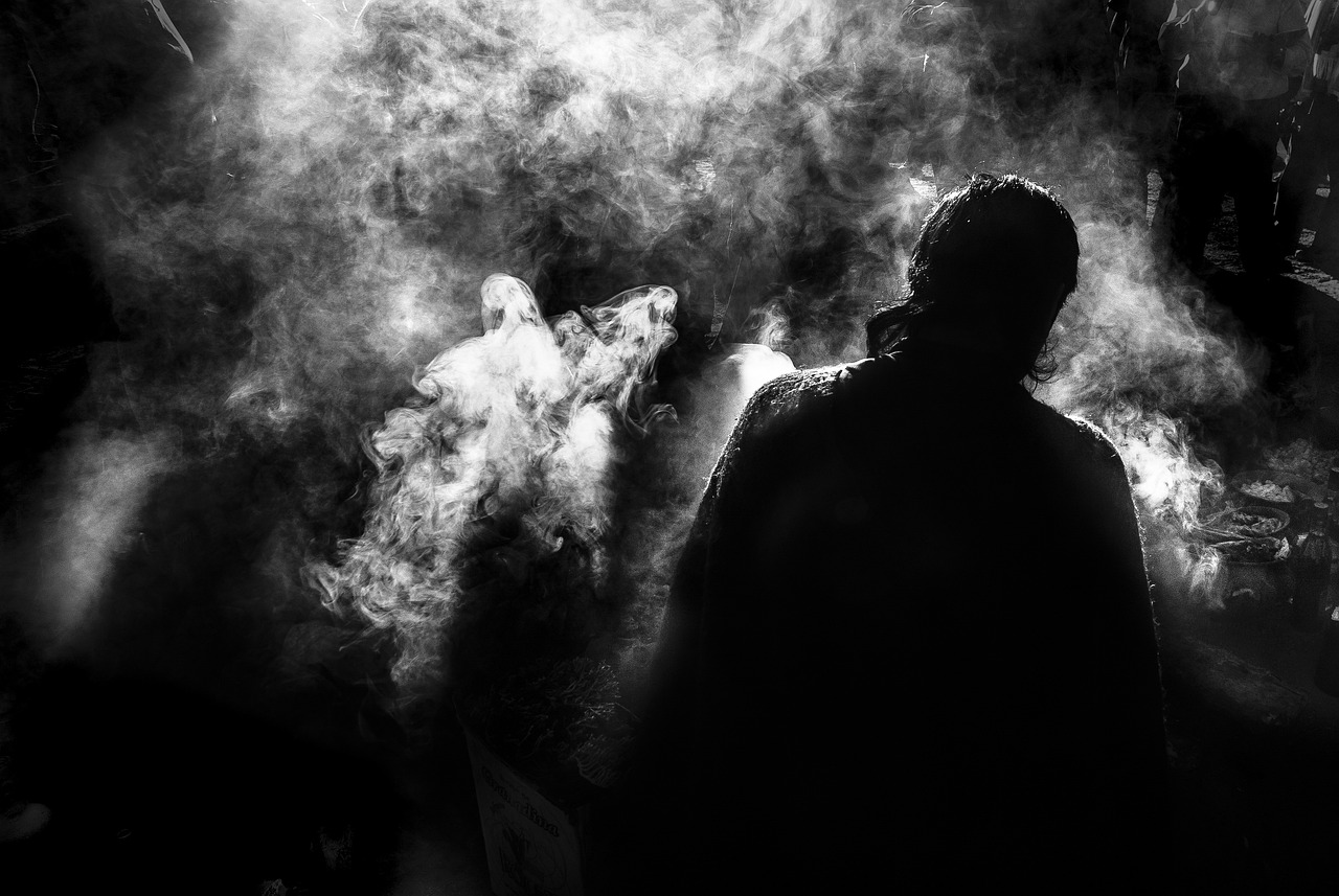 揭秘血狼王最新動態(tài)，神秘勢力的崛起與廣泛影響