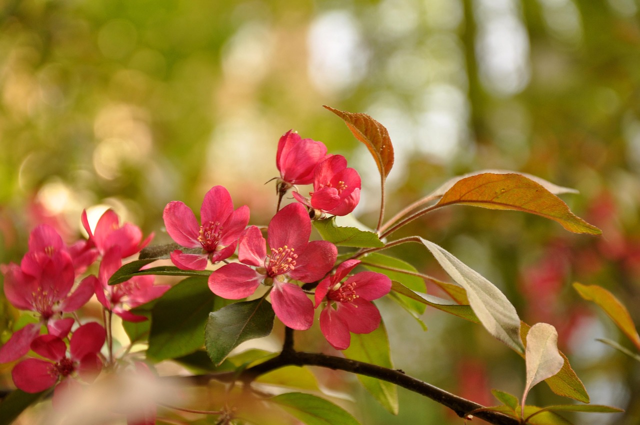 今年花開(kāi)月正圓，電視劇的魅力與深度解讀