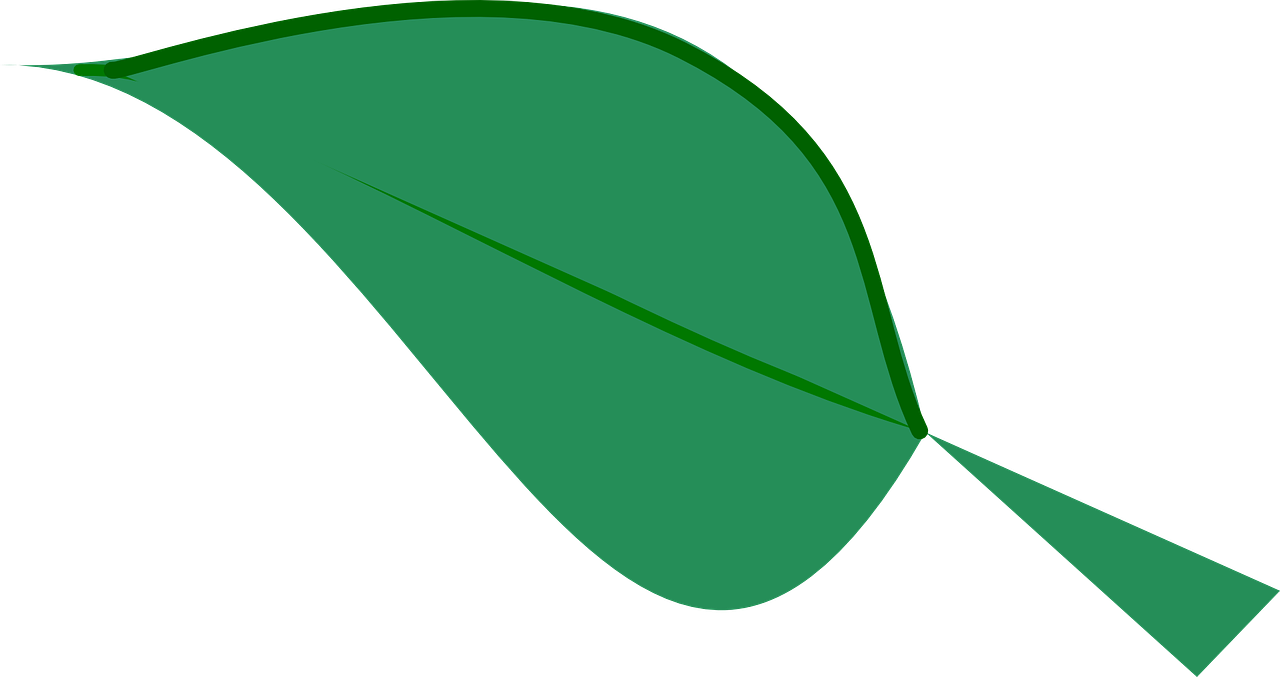 禁塑令最新動(dòng)態(tài)，推動(dòng)綠色轉(zhuǎn)型，共建生態(tài)文明新篇章