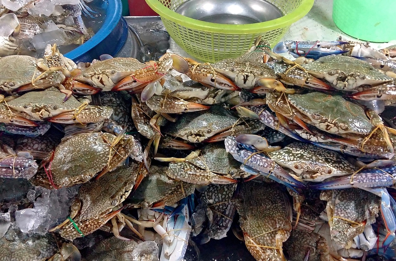 新鮮魚包推薦，海鮮美食之旅的味蕾盛宴