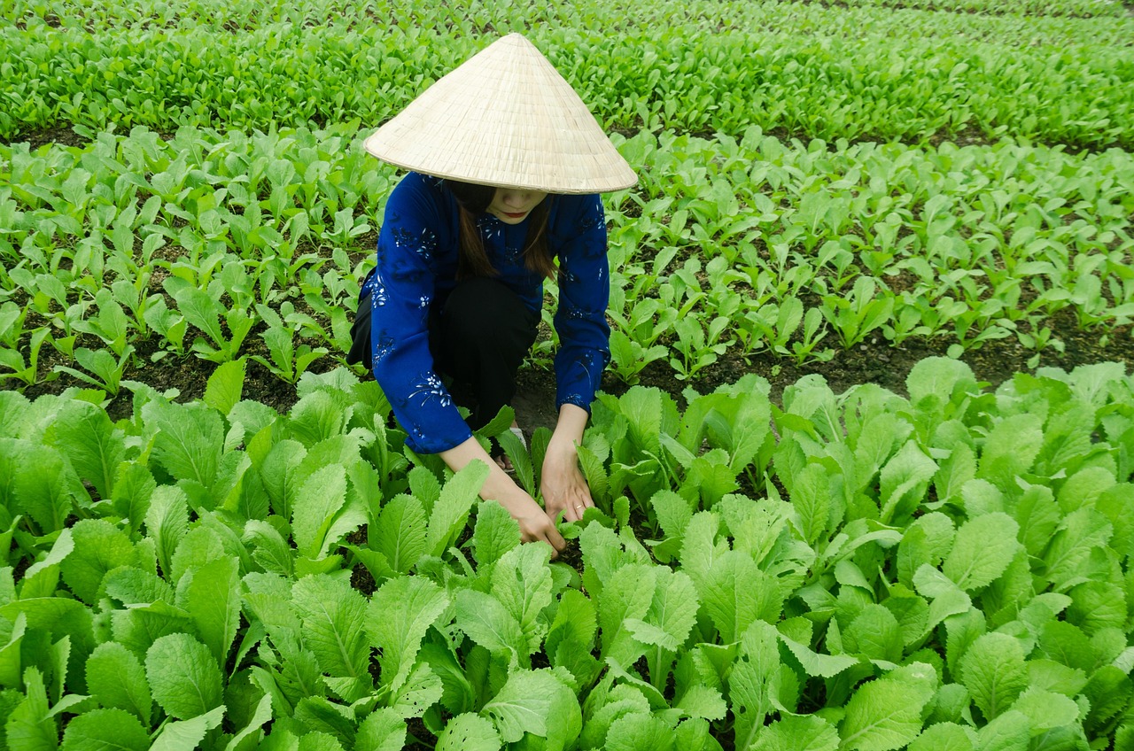落楓染紅晚霞 第12頁