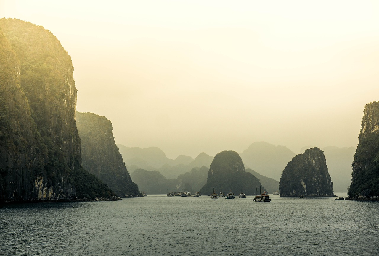 小舞最新動態(tài)，閃耀舞臺，潮流引領者