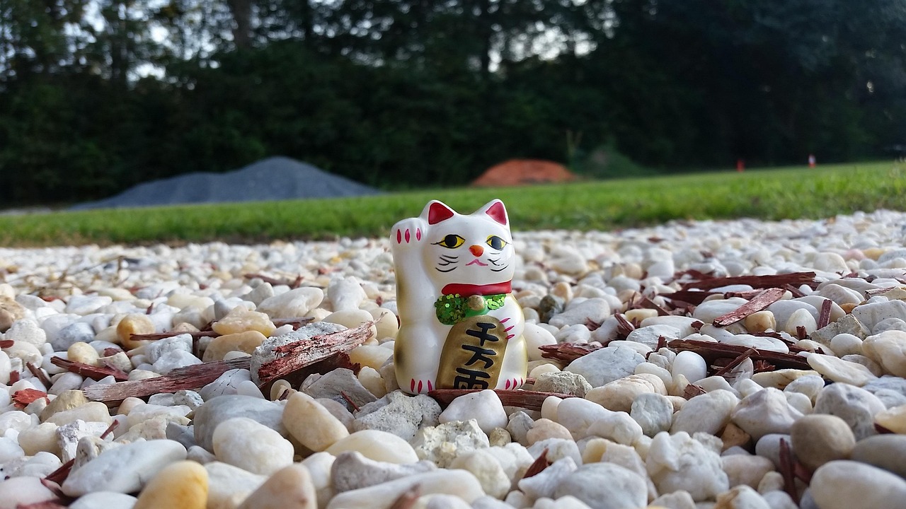 人民幣匯率最新動(dòng)態(tài)，波動(dòng)因素、市場(chǎng)展望與最新消息