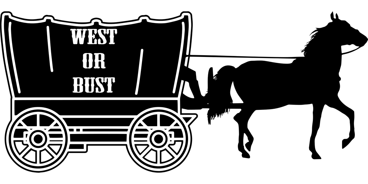 你是我的眼 第6頁