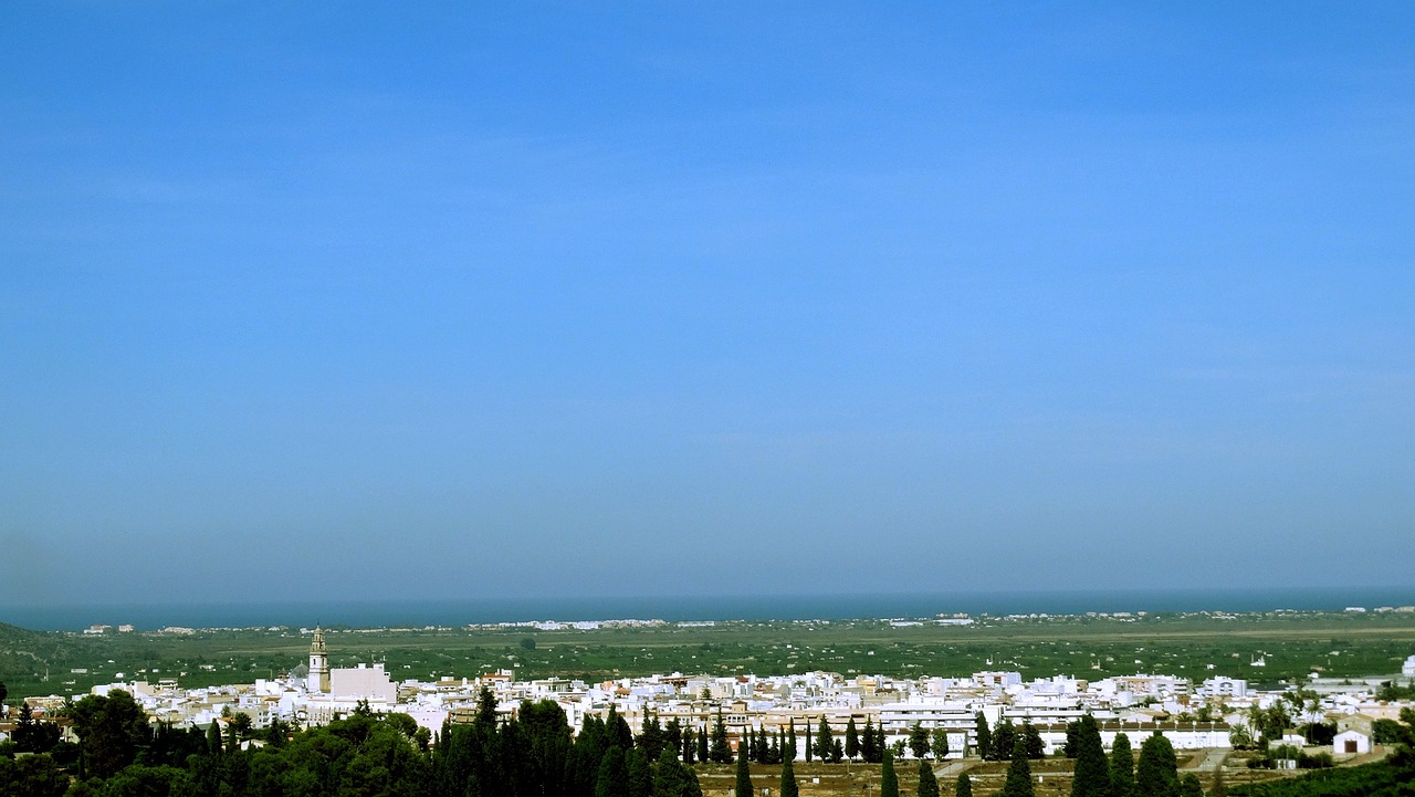 阜陽(yáng)市人事任免最新動(dòng)態(tài)及調(diào)整通知