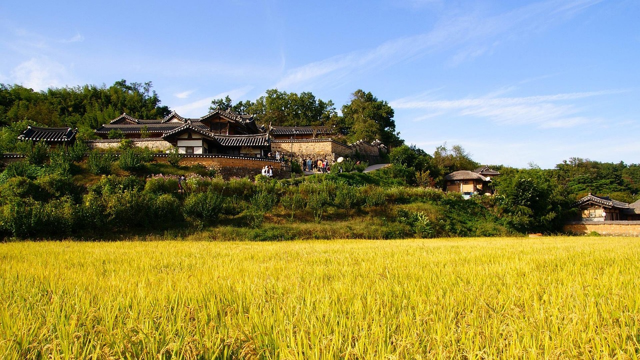 解讀最新中央農(nóng)村政策，推動農(nóng)業(yè)現(xiàn)代化與鄉(xiāng)村振興同步前行