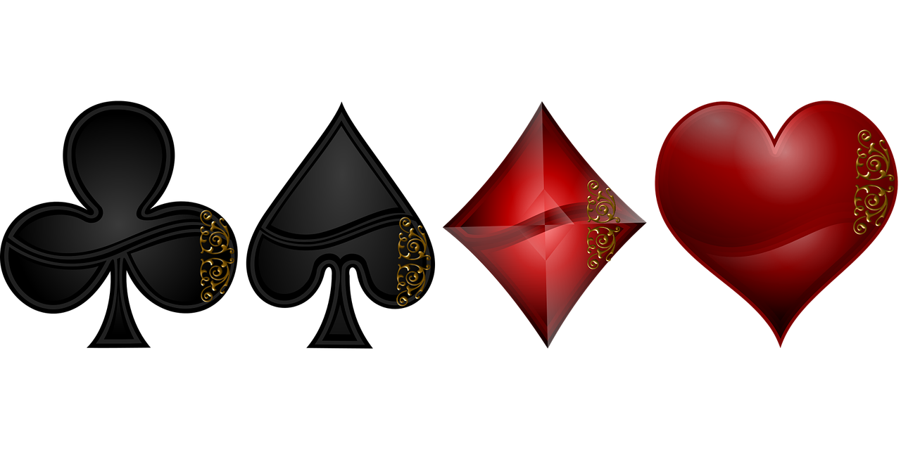 紀(jì)夢楠的最新動態(tài)與成就概覽