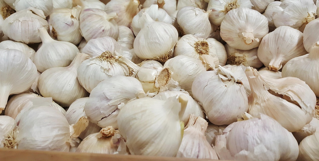 產(chǎn)品中心 第9頁