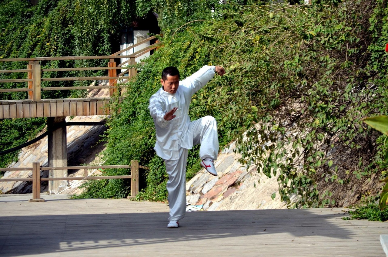 武術(shù)比賽精彩瞬間，展現(xiàn)中華武術(shù)的魅力與風(fēng)采