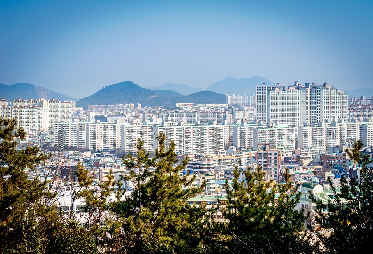最新月浦規(guī)劃，塑造未來城市新面貌的藍(lán)圖